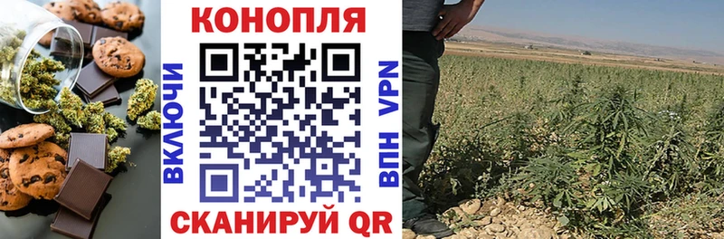Еда ТГК конопля  купить   Дубовка 